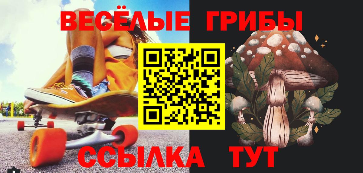 дарнет шоп  Псилоцибиновые грибы Psilocybe  Псилоцибиновые грибы Magic Shrooms  Вход с VPN  Тихорецк 