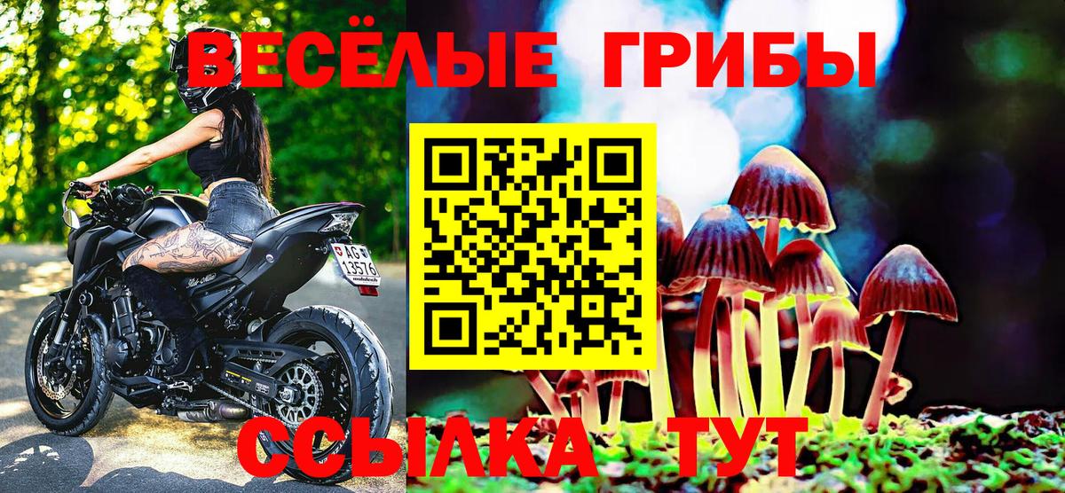 Галлюциногенные грибы прущие грибы Тихорецк